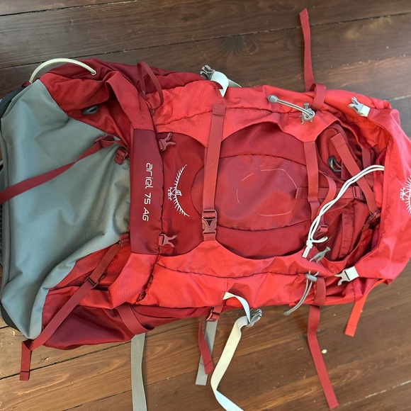 OSPREY Men's Backpack in Vibrant Red and Subtle Gray - Picture 1 of 3